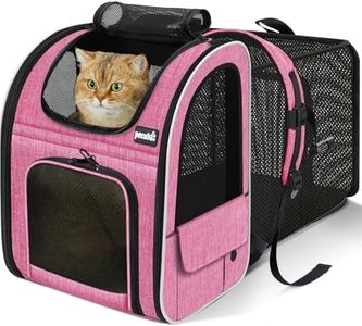 Pecute Cat