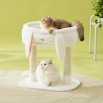 Lesure Cute Cat Tree Tower - Cat Tower with Nature Sisal Scratching Post for Indoor Large Cats and Kittens, Featuring with Soft Removable Cat Bed,Wide Perch, Playful Toy, 22x16.5x22.8in，Cream