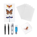 Making Insect Specimen Tools Kit, Insect Pins,Insect Pinning Board, Wings Pressing Paper,Tweezers, Scissors, Insect Display Case, Insect Collection for Bug Hobbyist/Biology Projects