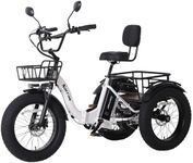 Narrak Electric Tricycle for Adults