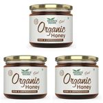 Nature's Nectar Raw Organic Honey 400g | 100% Pure NMR Tested | Raw and Unprocessed (Pack of 3)