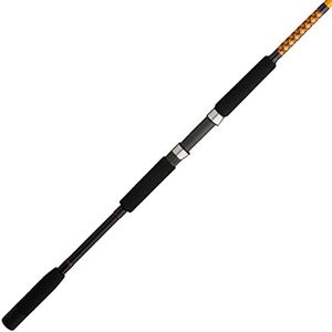 Ugly Stik 