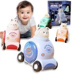 SIMPLEFINE 4-Pack Animal Racing Car
