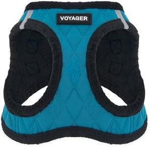 Voyager - 