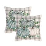 Fall Pumpkin Throw Pillow Cover Grey Plaid Farmhouse Decorative Throw Pillowcase Indoor Outdoor Cushion Cover Aztec Pillowcase for Couch Bedroom 20 x 20 Inch Set of 2