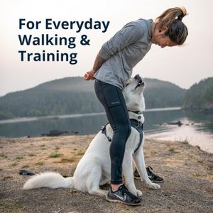 RUFFWEAR Front Range Dog Harness XS – Adjustable, Comfortable Fit