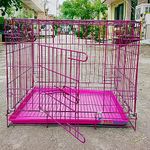 Dog Crate Accessories