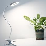 Clip On Desk Lamp