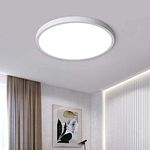 Jaycomey Modern 38W LED Ceiling Lig