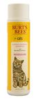 Burt's Bees for Cats Hypoallergenic Cat Shampoo with Shea Butter & Honey | Best Shampoo for Cats with Dry or Sensitive Skin | Cruelty Free, Sulfate & Paraben Free, pH Balanced for Cats - 10 Fl Oz