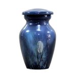 eSplanade Cremation urn Memorial Container Jar Pot | Memorial Keepsake Urns.