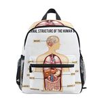 BALII Hand Painted Internal Structure of The Human Body Toddler Backpack Book Bag School Rucksack for Girl Boy Children