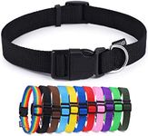 AMAGOOD Dog Collars for Medium and 