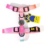 A+a Pets' H-Harness for Dogs, Puppies, Cats, Made with Soft and Waterproof Nylon Material (Small, Pink/Blue)