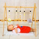 Taruh Kids Wooden Play Gym Jungle Theme with Neem Teethers & Cotton Crochet Rattles