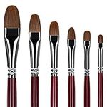 6Pcs Weasel Hair Long Handle Filbert Paint Brush Set for Acrylic, Oil, Gouche and Watercolour Painting