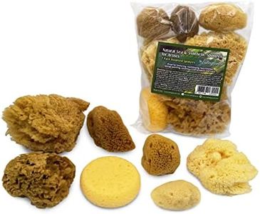 Natural Sea & Synthetic Sponges for Artists Assorted Sizes 7pc Value Pack: Great for Art Painting Ceramics Crafts Clay Pottery & More by Lullingworth