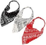 OYOANGLE Women's 3 Pack Paisley Print Scarf Headband Elastic Hair Kerchief Triangle Bandana Head Scarves Multicolor One-Size