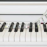 HomeGadget Removable Piano Keyboard [ideal for beginners] - 88 Key Silicone Overlay - Note Labels for Learning - Delivered in a Small Box - Colourful