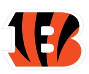 Siskiyou Sports NFL Cincinnati Bengals Automotive Magnet, 8-Inch