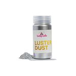 Tastycrafts Luster Dust | Pearl Dust | Edible Decoration for Cake | Sparkle Dust | Shimmer Dust | Glittering Shiner Dust | Cake Décor Items | for Painting on Cakes and Pastry - 25 GM (Silver)