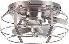 Parrot Uncle Ceiling Fans with Lights and Remote Low Profile Ceiling Fan with Light Small Caged Ceiling Fan for Bedroom Bathroom, 12 Inch, Brushed Nickel