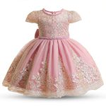 NNJXD Baby Girl Birthday Tutu Gown Pageant Party Wedding Dress 2035 Light Pink Size(80) 6-12 Months