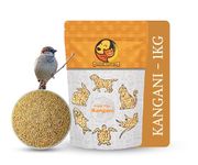 Foodie Puppies Foxtail Millet Kangni Seeds Bird Food - (1Kg, Pouch), High-Fiber Balanced Nutritious Daily Diet for All Bird Types