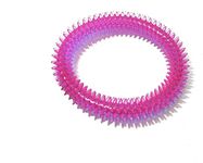 Santosh Enterprises Pets Training Toys for Dogs/Cats (Spike Ring)