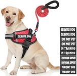 Service Dog Harness, DEWVIE Dog Vest and Leash Set with 10 Patches, Breathable in Training Dog Vest Harness with Handle for Small Medium Large Dogs (RED, X-Small)