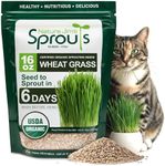 Nature Jims Sprouts Wheatgrass Seed