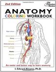 Anatomy Co