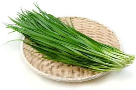 Garlic Chives 70+ Seeds Culinary HERB Vegetable Garden Easy Pot Grow Companion