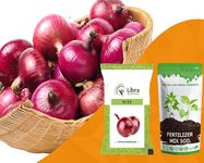 Onion Seeds for Planting | Farming | Home | Garden | Kitchen | Vegetable | Hybrid | Terrace | Balcony | Eating | Pyaj | Red Onion | Gold Onion | Pink Onion | Dungali - 5 Gram : 1207 Seed (N53)