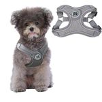 ORYEDA Dog Harness No Pull for Small Size, Easy Walk Adjustable Pet Harness, No-Choke Soft Padded Dog Vest, Reflective Breathable Pet Oxford Cloth with 2 Metal Leash Clips