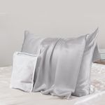 PROMEED Silk Pillowcase for Hair and Skin with Hidden Zipper, Both Sides 23 Momme Natural Real 100% Mulberry Silk Pillow Case, 1 Piece (Standard 20"x26", Light Grey)