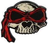 Teenage Mutant Ninja Turtles Raphael Skull Lapel Pin