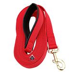 Dog Leash For Large Dogs