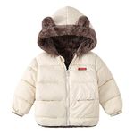 Hopscotch Boys Beige Full-Sleeve Solid Applique Jacket For Ages 4-5 Years (WEY-4272998)