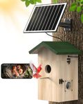 KinetCam Bird House with Camera Sol