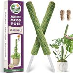 Duspro 2 Pack 96cm Stackable Mesh Moss Pole For Plants Monstera, Plastic Net Plant Stakes For Indoor Plants, Extendable Large Moss Sticks Ideal For Potted Climbing Plant Indoor Support (2PCS GREEN)