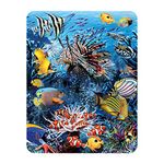 3D LiveLife Magnet - Wonders of the Reef from Deluxebase. Lenticular 3D Coral Reef Fridge Magnet. Magnetic decor for kids and adults with artwork licensed from renowned artist, Steven Michael Gardner