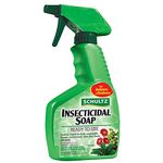 354mL Ready-to-Use Insecticidal Soap