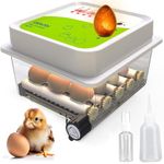 Incubator for Hatching – 12 Eggs – Ideal for All Ages – Automatic Turning and Humidity Control – Integrated Egg Candler – Okkobi OBI-12