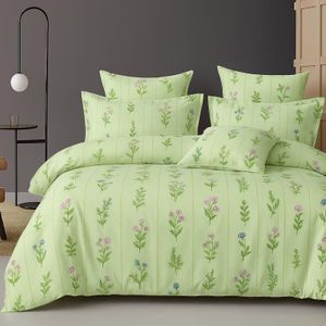 BSB HOME 3