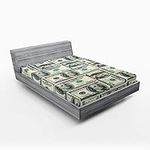 Ambesonne Money Fitted Sheet, Dolla
