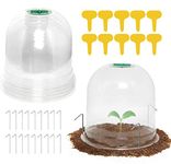 LATERN 6Pcs Transparent PVC Garden Plant Cloches, 26cm x 20cm, with 18 Secure Pegs & 10 Plant Labels, Air Vent Valve for Frost Protect