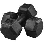 Yaheetech Weights Dumbbells Set of 2 Dumbbells Pair 2x4kg Hand Weights Set for Home Gym Workout Strength Training, Total Weight 8kg