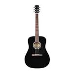 Fender Acoustic Guitar, with 2-Year