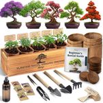 AVERGO Bonsai Tree Kit for Beginner
